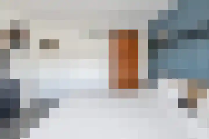 Iepenlaan 26 Wieringerwaard thumbnail 18