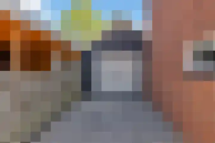 Iepenlaan 26 Wieringerwaard thumbnail 34
