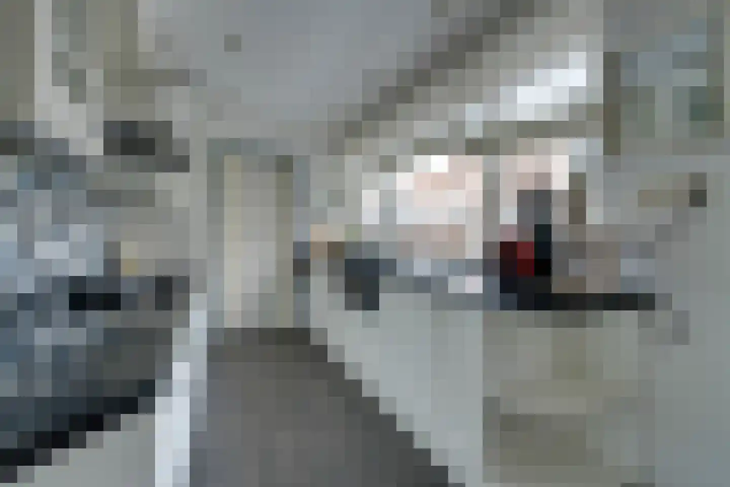 Iepenlaan 27 Volendam thumbnail 17