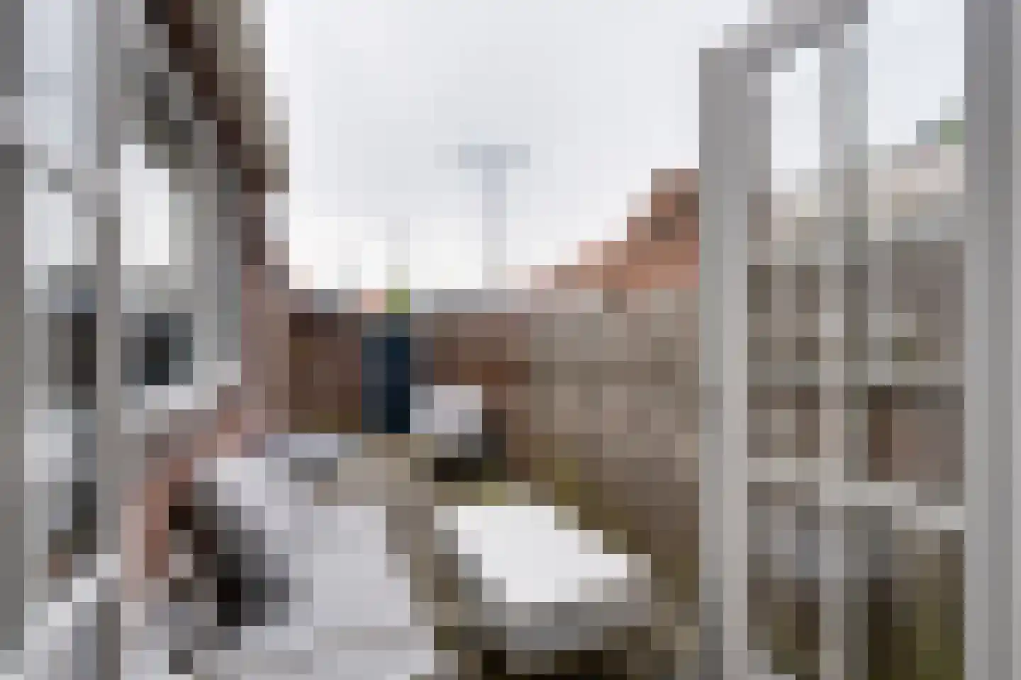 Iepenlaan 27 Volendam thumbnail 21