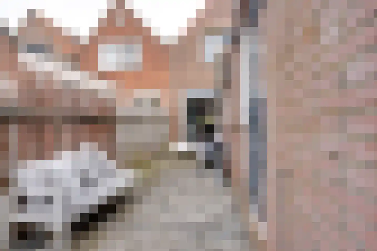 Iepenlaan 27 Volendam thumbnail 24