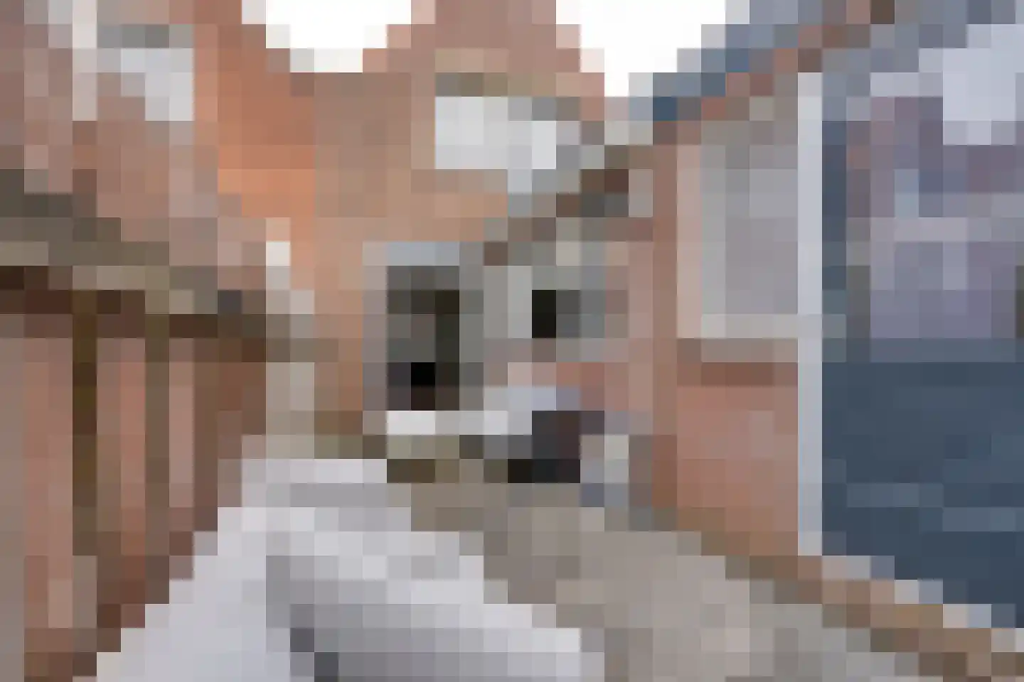 Iepenlaan 27 Volendam thumbnail 25
