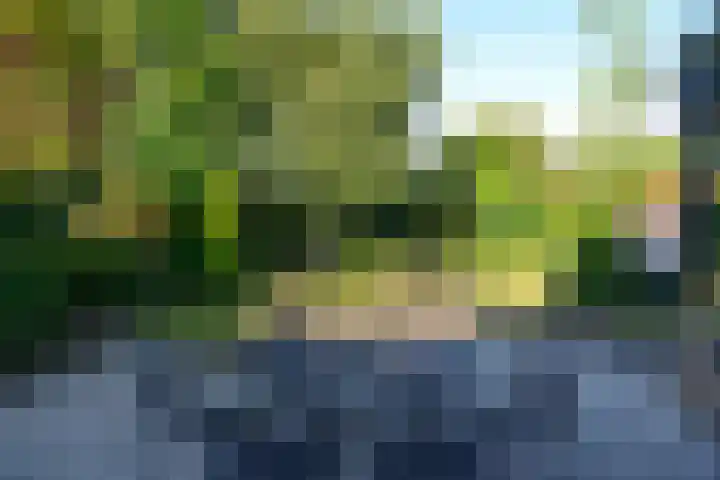 Iepenlaan 28 Bussum thumbnail 25