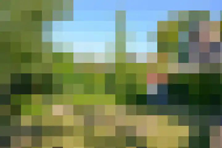 Iepenlaan 28 Bussum thumbnail 26
