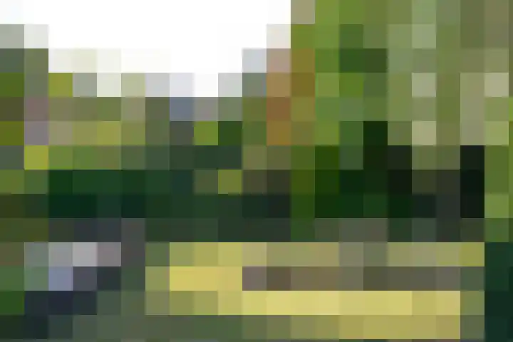 Iepenlaan 28 Bussum thumbnail 27