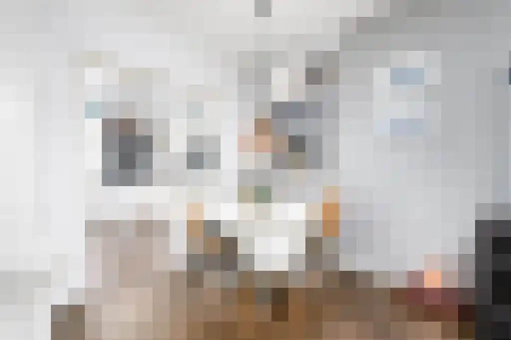 Iepenlaan 3 Heerenveen thumbnail 9