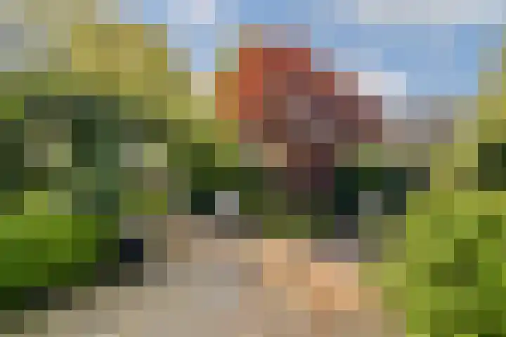 Iepenlaan 31 Dordrecht thumbnail 19