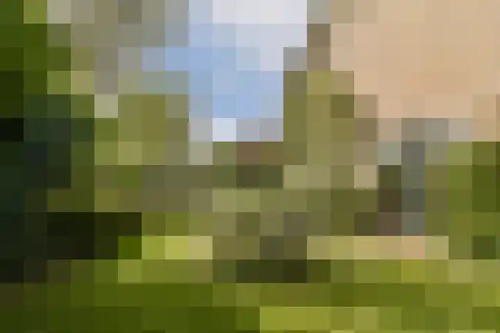 Iepenlaan 31 Dordrecht thumbnail 22