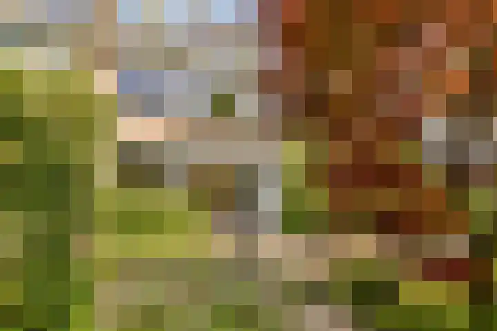 Iepenlaan 31 Dordrecht thumbnail 23
