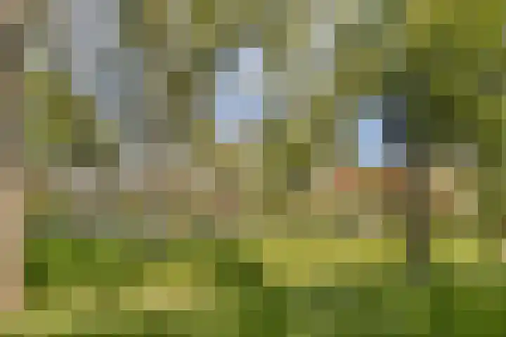 Iepenlaan 31 Dordrecht thumbnail 26