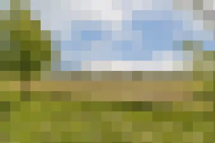 Iepenlaan 31 Dordrecht thumbnail 27