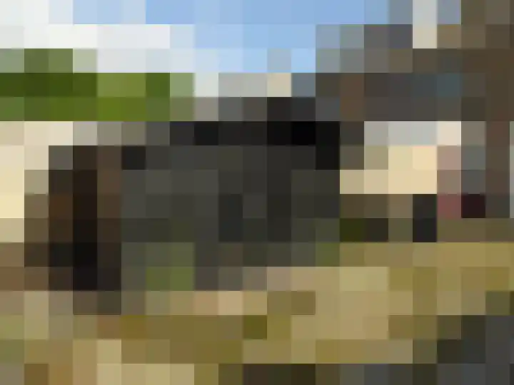 Iepenlaan 31 Wieringerwaard thumbnail 23