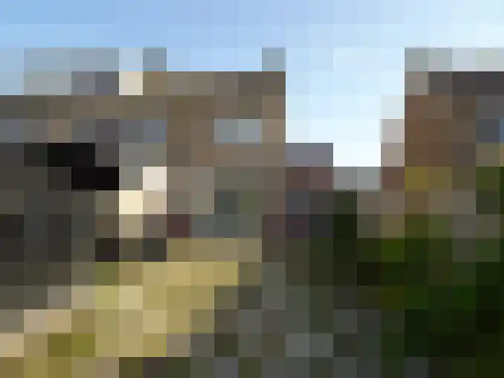 Iepenlaan 31 Wieringerwaard thumbnail 5