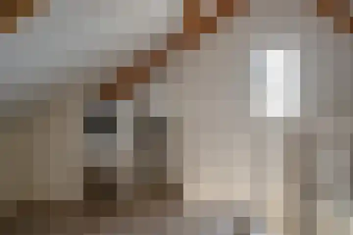 Iepenlaan 32 Rouveen thumbnail 26