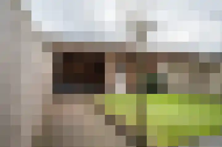 Iepenlaan 32 Rouveen thumbnail 27