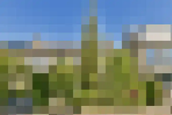 Iepenlaan 34 in Dordrecht