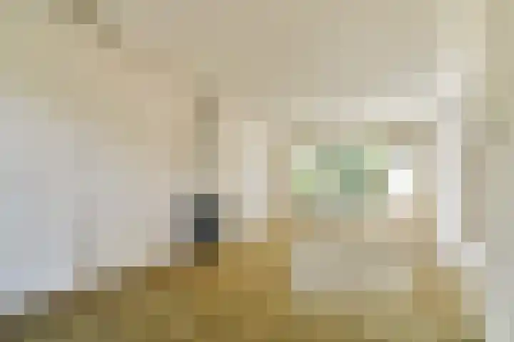 Iepenlaan 34 Dordrecht thumbnail 13
