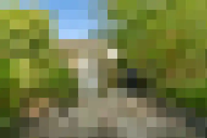 Iepenlaan 34 Dordrecht thumbnail 17