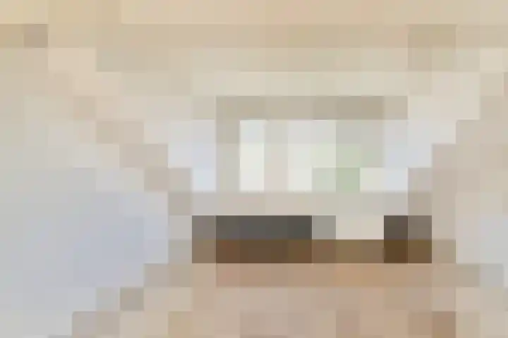 Iepenlaan 34 Dordrecht thumbnail 33