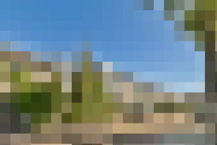 Iepenlaan 34 Dordrecht thumbnail 7