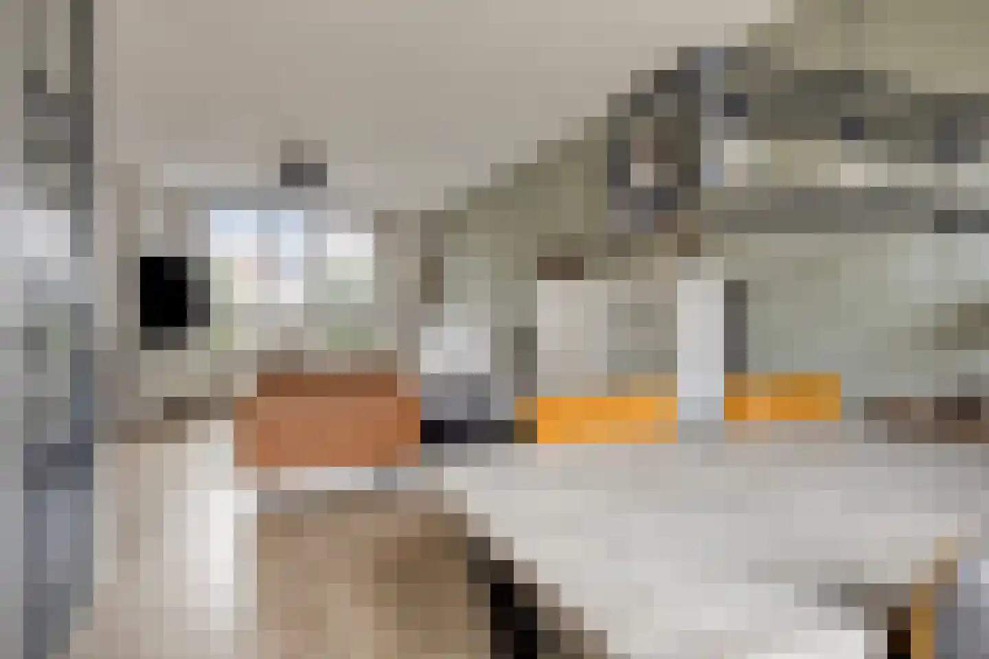 Iepenlaan 35 Halsteren thumbnail 11