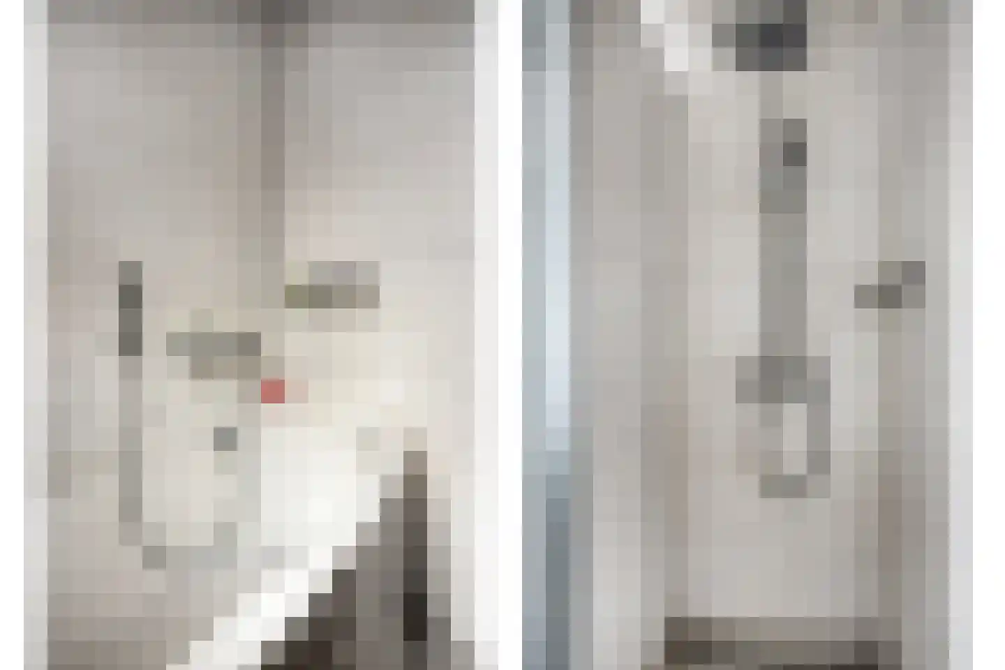 Iepenlaan 35 Halsteren thumbnail 21