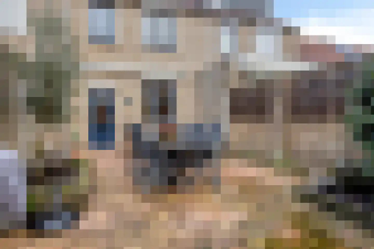 Iepenlaan 35 Halsteren thumbnail 29