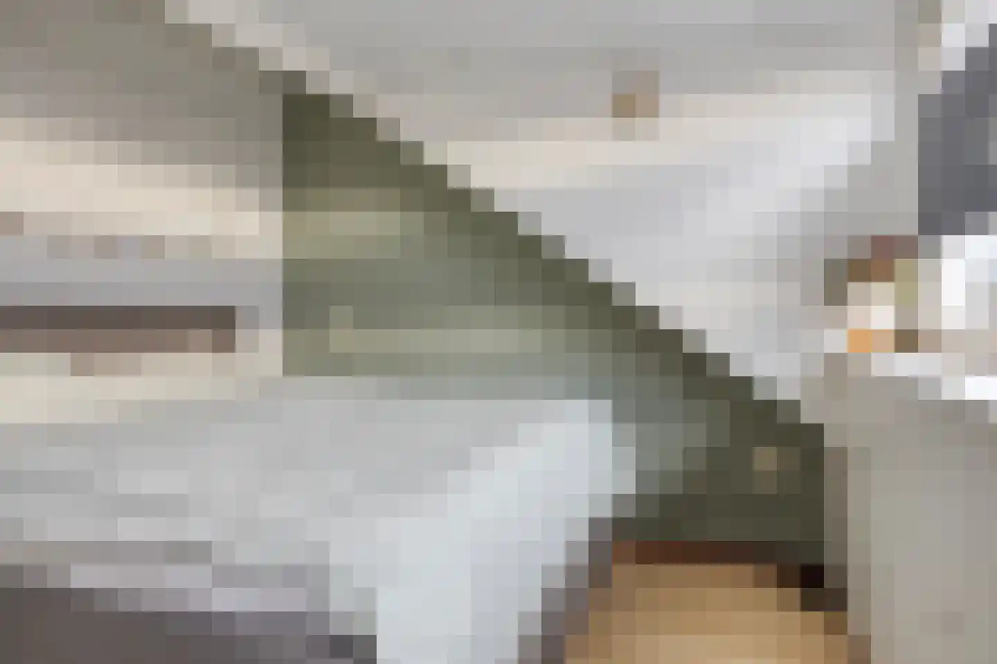 Iepenlaan 35 Halsteren thumbnail 6