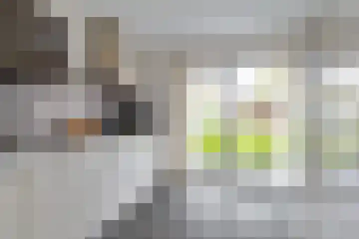 Iepenlaan 39 Dokkum thumbnail 14