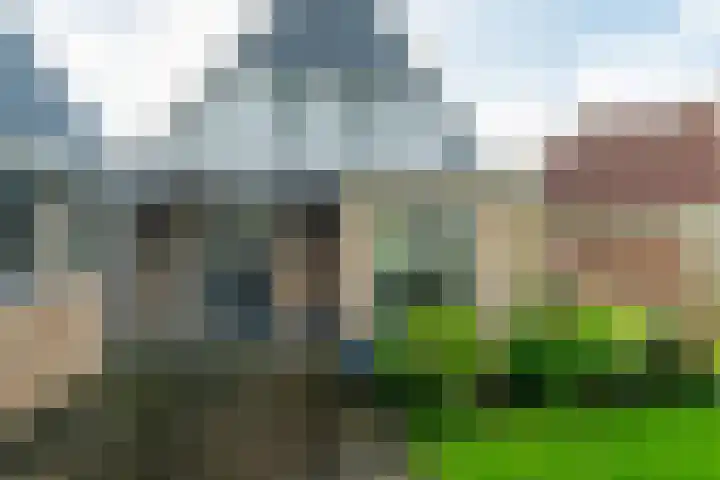 Iepenlaan 39 Dokkum thumbnail 19