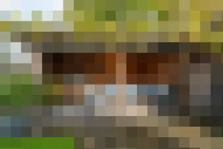 Iepenlaan 39 Dokkum thumbnail 20