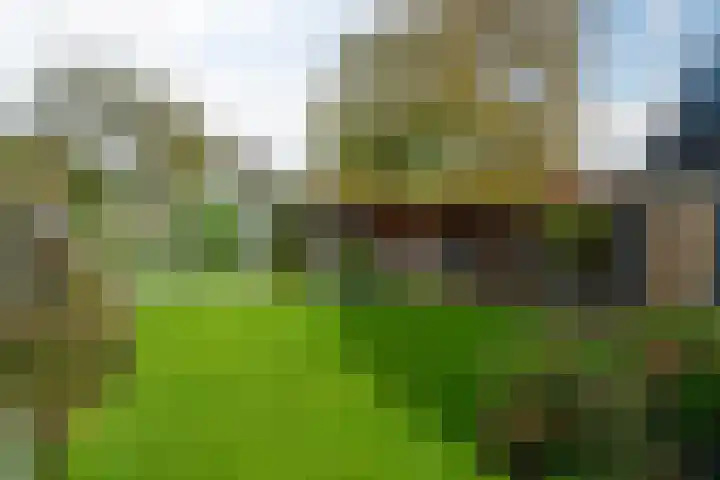 Iepenlaan 39 Dokkum thumbnail 22