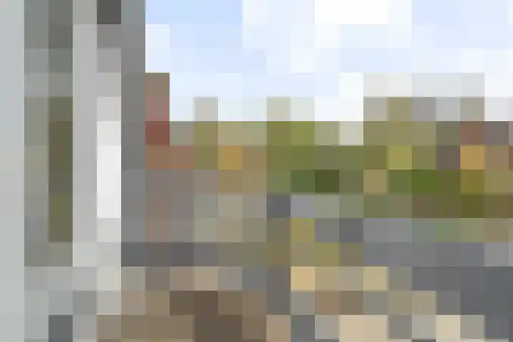 Iepenlaan 39 Dokkum thumbnail 28