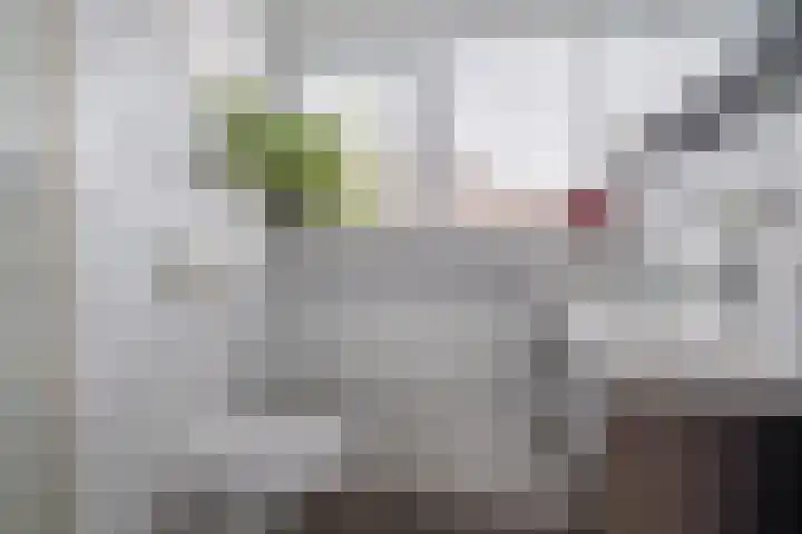 Iepenlaan 39 Dokkum thumbnail 33