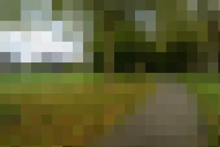 Iepenlaan 39 Dokkum thumbnail 36