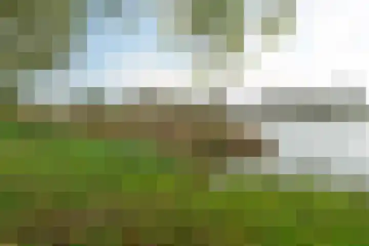 Iepenlaan 39 Dokkum thumbnail 37