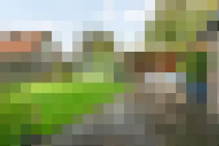 Iepenlaan 39 Dokkum thumbnail 4