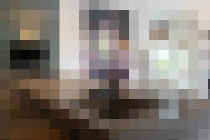 Iepenlaan 39 Sleeuwijk thumbnail 17
