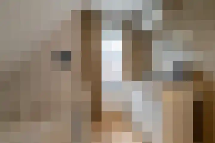 Iepenlaan 39 Sleeuwijk thumbnail 32