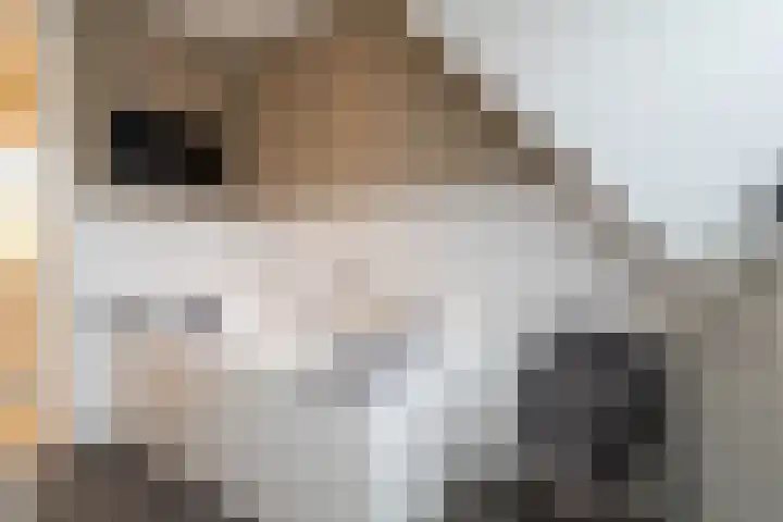 Iepenlaan 39 Sleeuwijk thumbnail 35