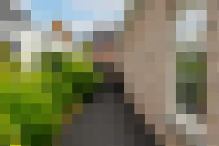 Iepenlaan 39 Sleeuwijk thumbnail 38