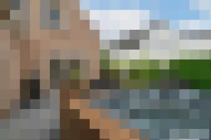 Iepenlaan 39 Sleeuwijk thumbnail 44