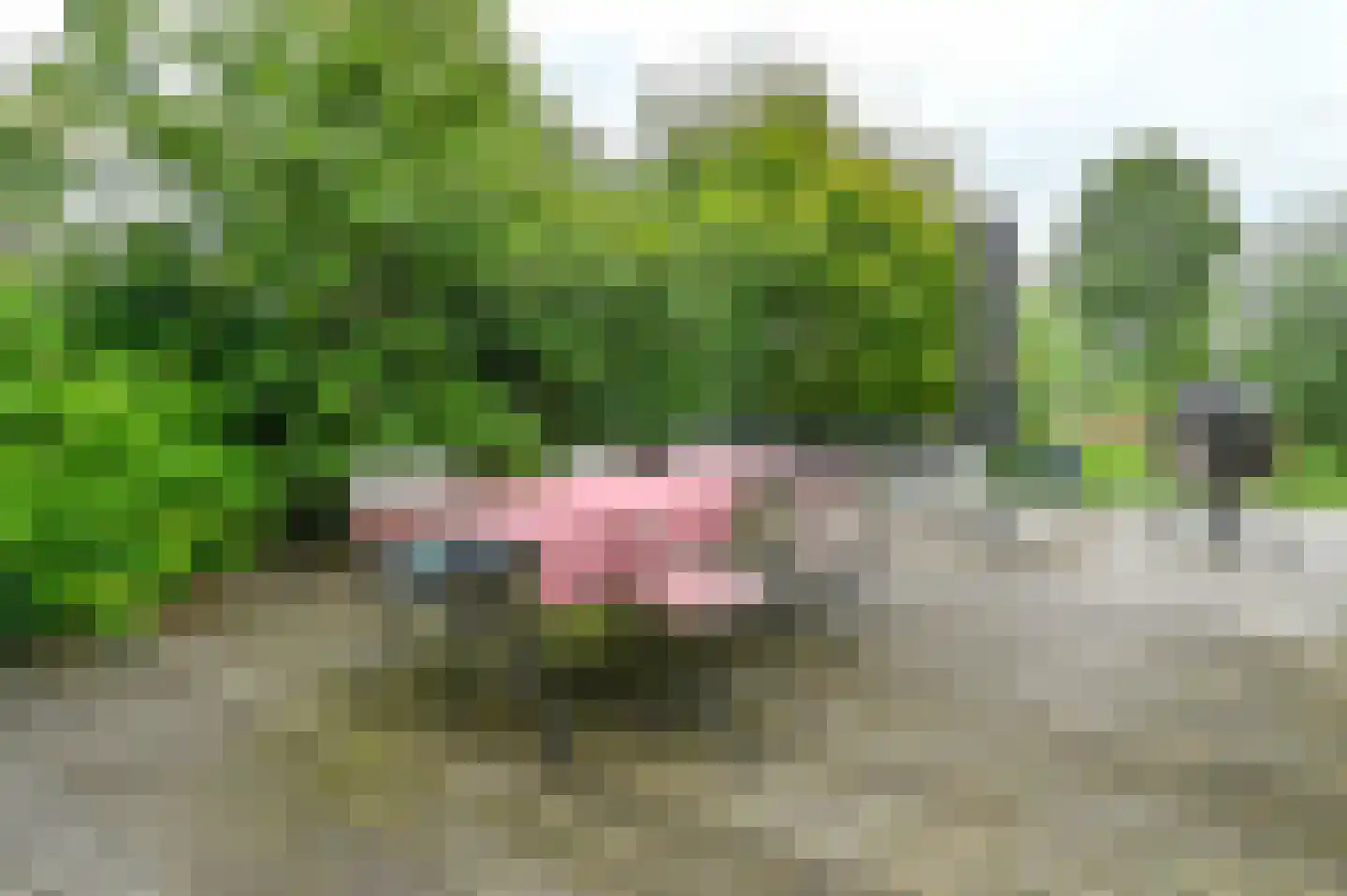 Iepenlaan 4 Bloemendaal thumbnail 45