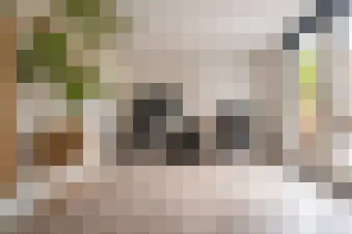 Iepenlaan 4 Bussum thumbnail 12