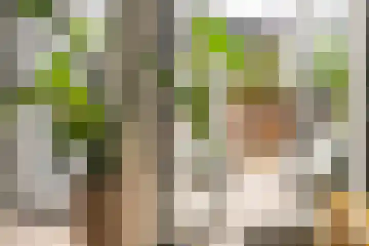 Iepenlaan 4 Bussum thumbnail 14