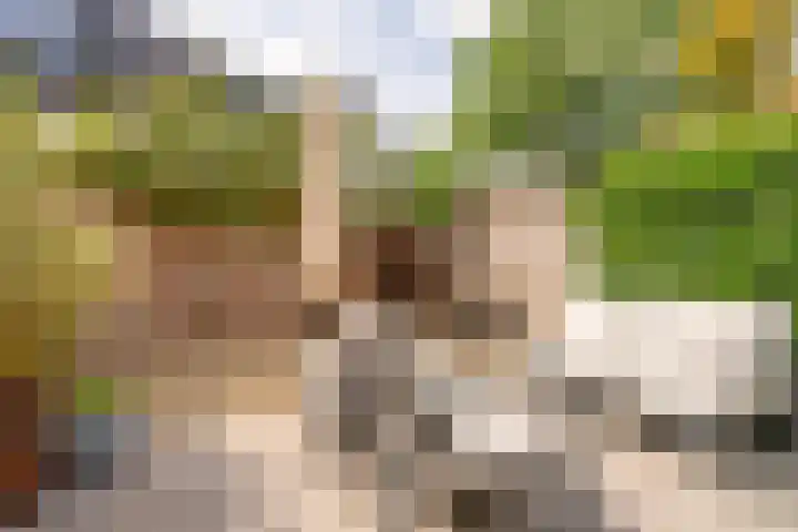 Iepenlaan 4 Bussum thumbnail 16