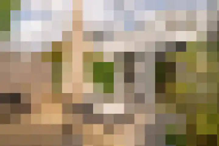 Iepenlaan 4 Bussum thumbnail 17