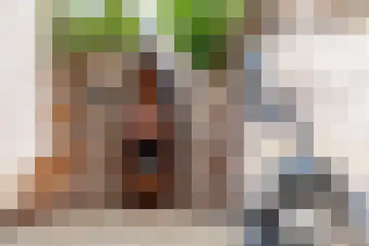 Iepenlaan 4 Bussum thumbnail 20