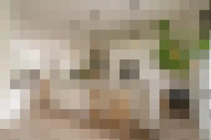 Iepenlaan 4 Bussum thumbnail 25