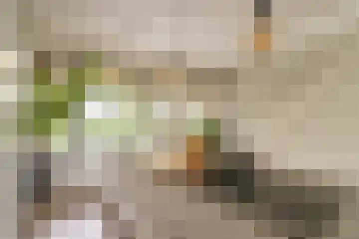 Iepenlaan 4 Bussum thumbnail 26
